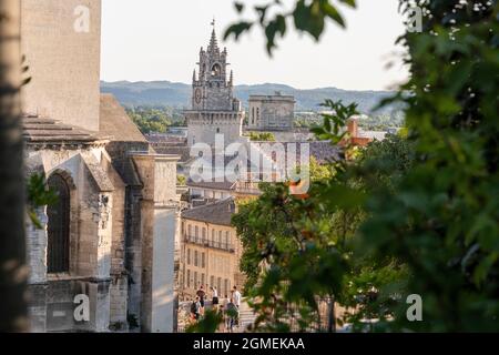 Der Blick vom Rocher des Doms in Avignon auf den Palais des Papes und das Hotel de Ville. Stockfoto