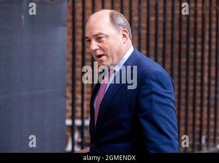 Ben Wallace, Staatssekretär für Verteidigung, in der Downing Street. Stockfoto