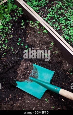 Gartenschaufel und Blumenerde in einem Holzbehälter Stockfoto