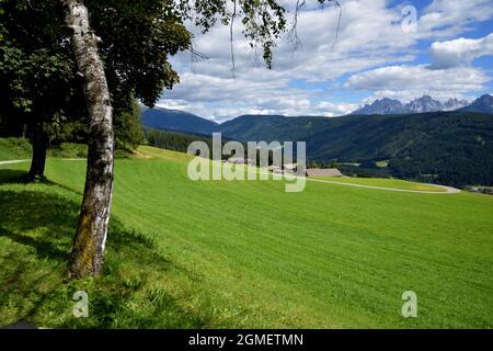 Eine ruhige Ecke der Wiese am Anfang des Gsieser Tals oberhalb der Stadt Taisten Stockfoto