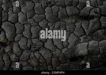 Natürliche Feuerasche mit dunkelgrauer schwarzer Kohlen-Textur. Es ist ein entzündlicher schwarzer harter Stein. Stockfoto