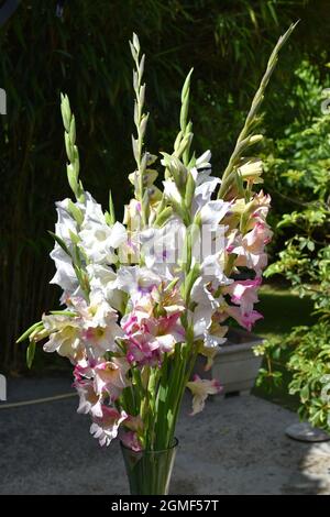 Bouquet de lys et glaïeuls Stockfoto