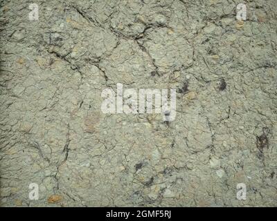 Textur aus grauem gesprungenem Tongestein. Lehmwände mit Rissen. Für 3D-Wand- oder Bodengestaltung Stockfoto