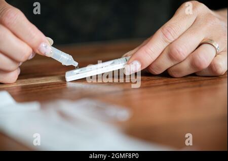 Durchführen eines Covid 19-Selbsttests zu Hause – Abtropfen einer Kochsalzlösung auf den Teststab. Stockfoto