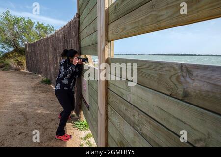 Vogelbeobachtung in Estany Pudent, Formentera, Pitiusas-Inseln, Balearen, Spanien. Stockfoto