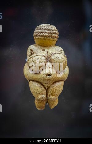 Venus von Willendorf, weibliche Kalksteinfigur, Gravetian Upper Paleolithikum, Museo de la evolución humana, MEH, Burgos , Spanien. Stockfoto
