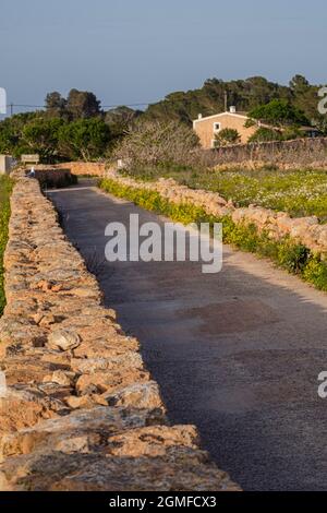 Traditionelle Steinmauern für landwirtschaftliche Flächen, es Monestir, Formentera, Pitiusas-Inseln, Balearen-Gemeinschaft, Spanien. Stockfoto
