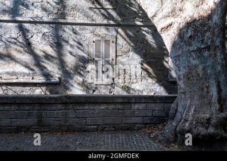 Ein verschloßtes Fenster, das in Sonnenlicht getaucht ist, Rue des Teinturiers, Avignon, Frankreich. Stockfoto