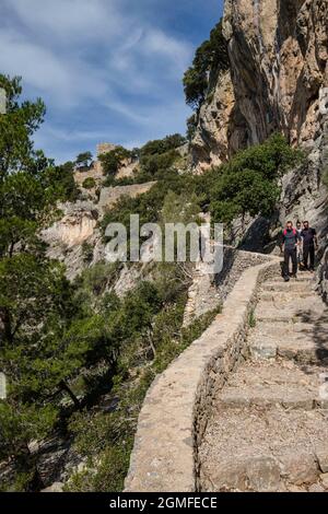 Gepflasterter Weg zum Schloss von Alaro, Alaro, Mallorca, Balearen, Spanien. Stockfoto