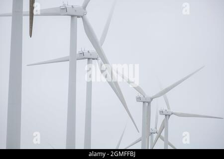 Windpark, Sierra de Pela, Spanien. Stockfoto