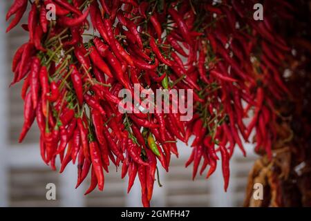 Typische Sirereta-Paprika, Wochenmarkt, Sineu, Mallorca, Balearen, Spanien. Stockfoto