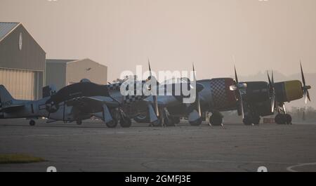 IWM Duxford, Cambridgeshire, Großbritannien. 18. September 2021. Die Battle of Britain Air Show findet am 18-19. September im Imperial war Museum IWM Duxford statt, dem ehemaligen RAF-Gelände, das während des Zweiten Weltkriegs als Basis für viele Piloten der Spitfire und des Orkandals diente. IAME: US-Kampfflugzeuge, von links nach rechts: Nordamerikanische TF-51D Mustang; P-51D Mustang; Republic P-47D Thunderbolt (alle Restaurationen von Anglia-Flugzeugen); Grumman F8F-29 Bearcat; Goodyear FG-1D Corsair (beide die Fighter Collection). Quelle: Malcolm Park/Alamy Live News Stockfoto