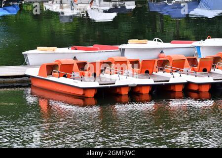 Wien, Österreich. Tretboote auf der Alten Donau Stockfoto