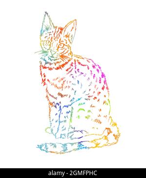 Handgefertigte Zeichnung einer bunten Katze. Vektorgrafik Stock Vektor