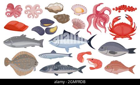 Frischer roher Ozean und Meeresfisch, Thunfisch, Lachs und Hering. Cartoon Meeresfrüchte, Garnelen, Muscheln, Jakobsmuscheln, Austern und Kaviar, Schalentiere Vektorset Stock Vektor