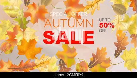 Herbst Verkauf Design Banner Layout. Helles, farbenfrohes, realistisches Herbstlaub in warmen Farbtönen. Saisonaler Hintergrund für Shopping-Verkauf oder Promo-Poster, Stock Vektor
