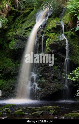 Hindhope Linn Wasserfall, Kielder Forest Park, Northumberland im Sommer ein schöner Wasserfall in einem abgelegenen bewaldeten Tal. Stockfoto