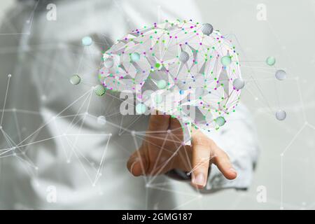 3D-Darstellung eines menschlichen Gehirns; Wissenschaft und Konzept des menschlichen Gehirns Stockfoto