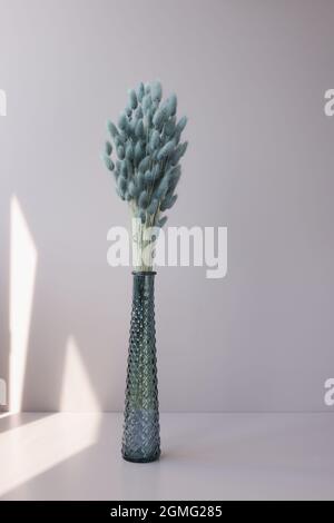 Schöne bunte trockene Kaninchenschwanz Blumen in Vase. Stockfoto