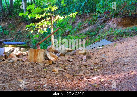 AX auf Log nach dem Schneiden der Hölzer für den Ofen im Freien Stockfoto