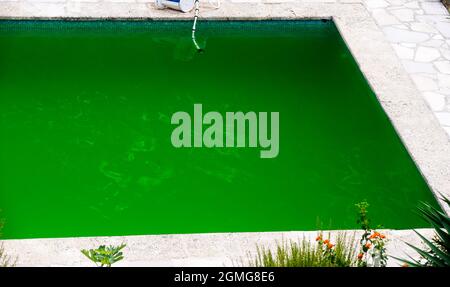 Schlecht gepflegter Swimmingpool, überwuchert mit grünen Algen Stockfoto