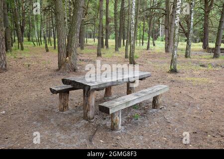 Ein unbemalter alter Holztisch und zwei Bänke stehen im Wald zwischen den Bäumen für ein Picknick Stockfoto