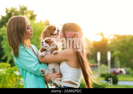 Mutter und Tochter Züchter gehen im Stadtpark mit Haustieren. Cavalier King Charles Spaniel Welpen mit Besitzer im Freien. Stockfoto