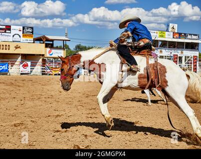 Prescott, Arizona, USA - 12. September 2021: Cowboy reitet auf einem Buckelpferd beim Rodeo-Wettbewerb, der auf dem Prescott Rodeo Fair Grounds stattfindet Stockfoto