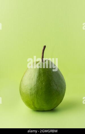 Guave auf hellgrünem Hintergrund, ganz tropische Früchte aus der Nähe, aufgenommen mit einem monochromatischen Farbthema Stockfoto