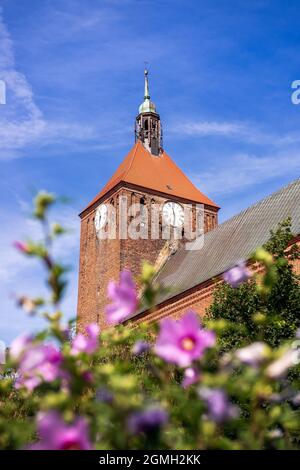 Gotischer Kirchturm mit einer Uhr in Darłowo. Roter Ziegel an der Fassade des Gebäudes und rote Fliesen auf dem Dach des Turms. Kirche unserer Lieben Frau von Częs Stockfoto