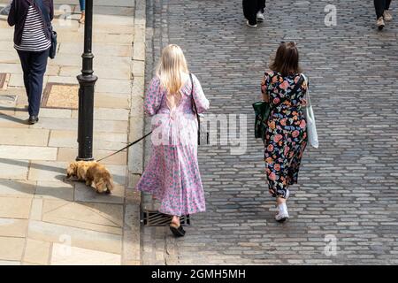 Zwei modische junge Frauen, eine mit einem kleinen Hund an der Leine, die eine gepflasterte Straße entlang gehen, High Street, Stadtzentrum von Guildford, Surrey, Großbritannien Stockfoto