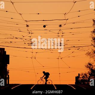 Silhouette bei Sonnenuntergang. Straßenbahnlinien in den Straßen der Stadt Melbourne Australien . Stockfoto