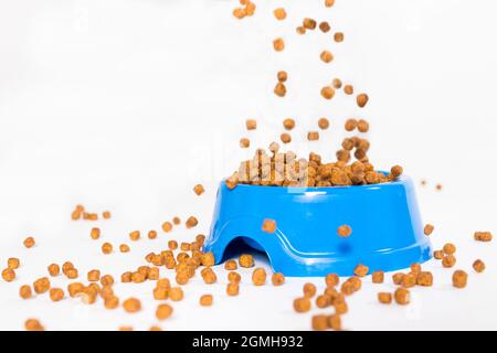 Trockenes Futter für Kätzchen und Katzen gießt in einen blauen Teller. Auf Weiß mit Platz für Text. Ausgewogenes Futter, Tierhandlung Stockfoto