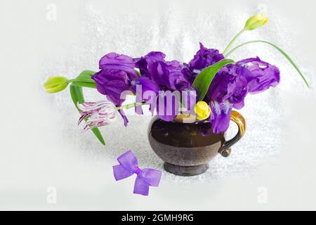 Ein Strauß lila Iris auf hellem Hintergrund Stockfoto