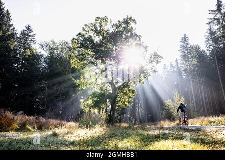 München, Deutschland. September 2021. Ein Radfahrer fährt durch den Forstenrieder Park, während im Hintergrund die Strahlen der niedrigen Morgensonne zu sehen sind. Quelle: Matthias Balk/dpa/Alamy Live News Stockfoto