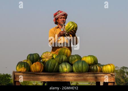 Mär, 03, 2019-dieser Obsthändler verkauft Melonen auf der Straße neben dem Feld, auf dem die Ernte angebaut wird. Er verkauft hier lieber auf dem Markt, Stockfoto