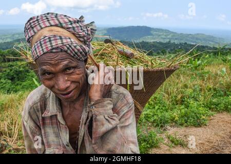 Ein Mann arbeitet in einem Jhum-Feld (Mischbeschnitt) in Khagrachari, Chittagong Hill Tracts, Bangladesch Stockfoto