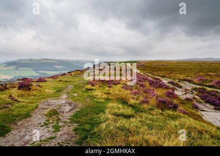 An einem Sommermorgen sammeln sich über Stoke Flat auf der Rückseite des Curbar Edge im Derbyshire Peak District dunkle Wolken. Stockfoto