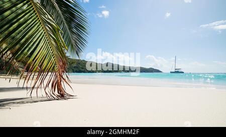 Palmenblätter am wunderschönen weißen Sandstrand mit türkisfarbenem Meer. Anse Lazio auf den Seychellen. Stockfoto