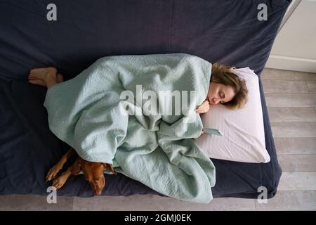 Unglücklich weinende Frau las Nachricht von Ex-Freund, der auf einem mit einer Decke bedeckten Sofa mit Hund lag Stockfoto