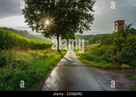 Landcsape entlang der innerdeutschen Grenze Stockfoto