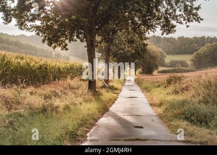 Landcsape entlang der innerdeutschen Grenze Stockfoto