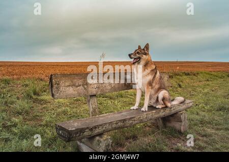 Landcsape entlang der innerdeutschen Grenze Stockfoto