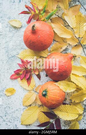 Helle Herbstblätter und Kürbisse auf grauem Hintergrund mit Platz für Text. Schöner Herbstrahmen. Nachbau für saisonale Angebote und Urlaub Postauto Stockfoto