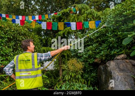 London, Großbritannien. September 2021. The Trailfinders 50th Anniversary Garden designed by Jonathan Snow (im Bild) - die letzten Vorbereitungen für die Chelsea Flower Show 2021. Die Show wurde letztes Jahr wegen der Blockierung des Coronavirus abgesagt. Kredit: Guy Bell/Alamy Live Nachrichten Stockfoto