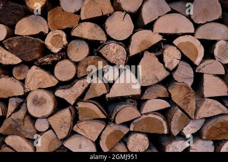 Vollbildaufnahme von gesägten Baumstämmen und Baumstämmen mit Details zur Holzstruktur Stockfoto