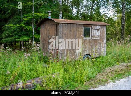 Alte Holzbauauflieger am Waldrand Stockfoto