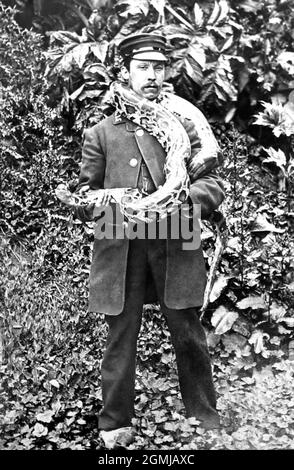 Zoowärter mit Python im Londoner Zoo, viktorianische Zeit Stockfoto