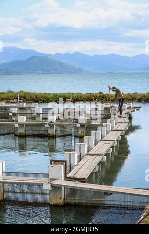 Eine Fischfalle auf dem Damm nach Koronisia im Golf von Ambracian, Gemeinde Arta, Epirus, Griechenland. Stockfoto