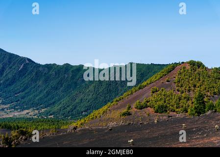 Nationalpark Caldera de Taburiente vom Astronomischen Aussichtspunkt Llano del Jable, Cumbre Vieja Vulkan. Vulkanische Landschaft mit kanarischen Kiefern Stockfoto